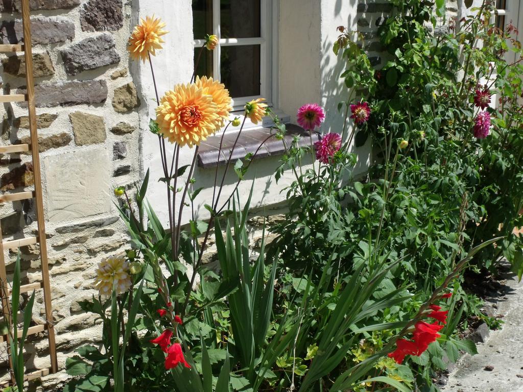 B&B La Beauconniere Lamberville  Exterior foto